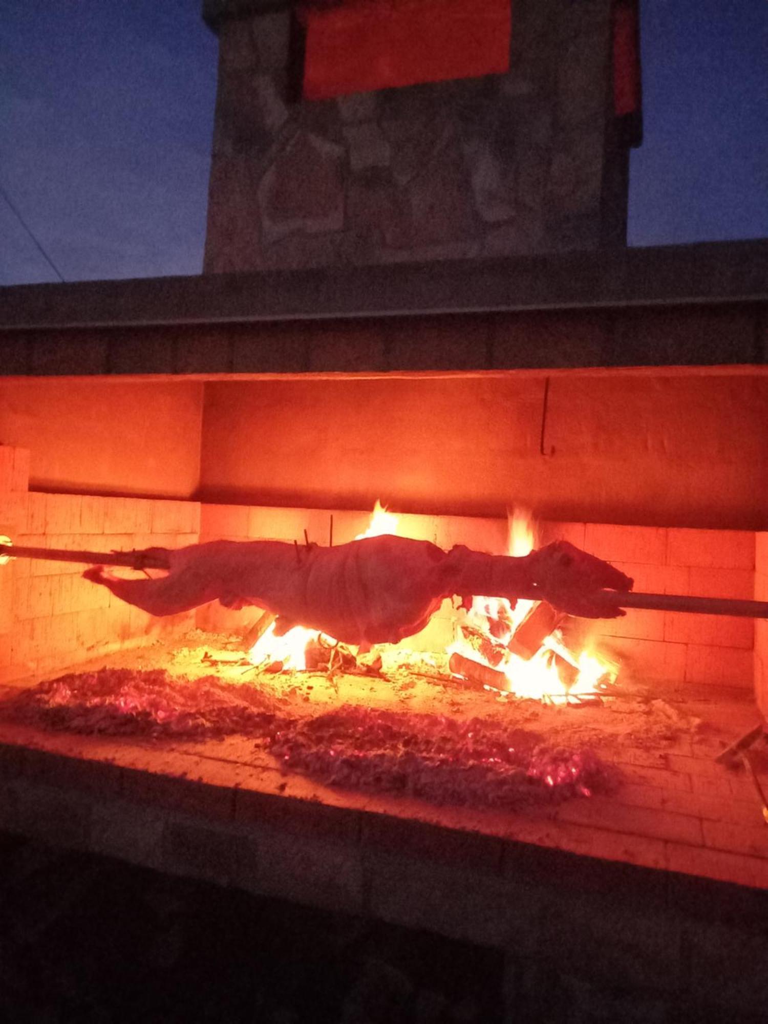 Apartman Bojana Daire Starigrad Paklenica Dış mekan fotoğraf