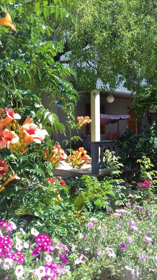 Apartman Bojana Daire Starigrad Paklenica Dış mekan fotoğraf
